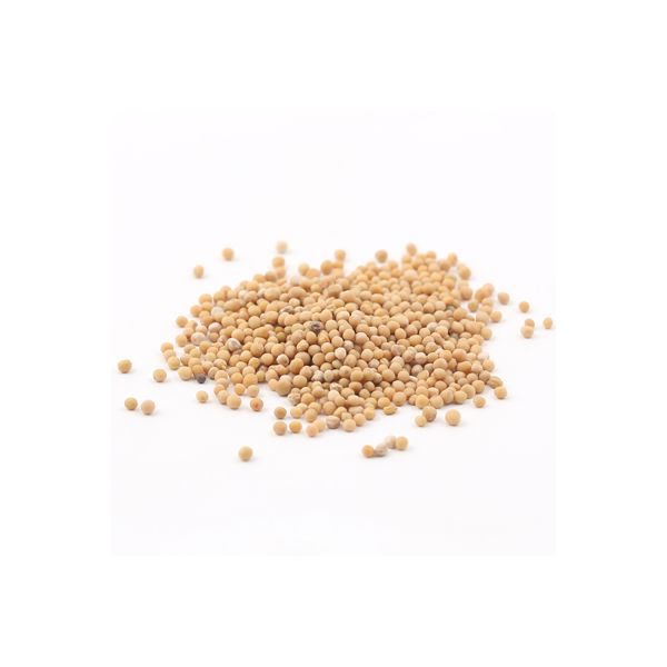 White mustard seed