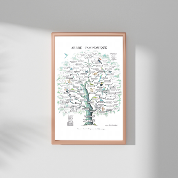 Poster, Taxonomic Tree A3