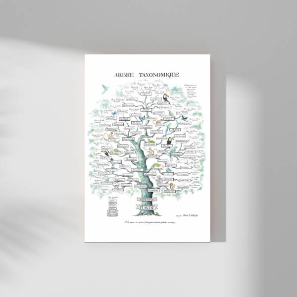 Poster, Taxonomic Tree A3